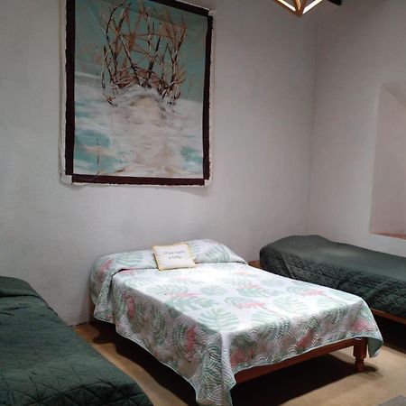 圣米格尔－德阿连德 Casa Aldama 83酒店 外观 照片